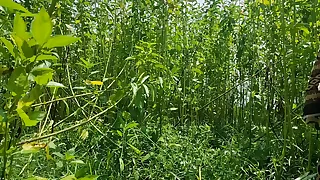 Desi Bhabhi immutable fuck outdoor sex videos anal sex